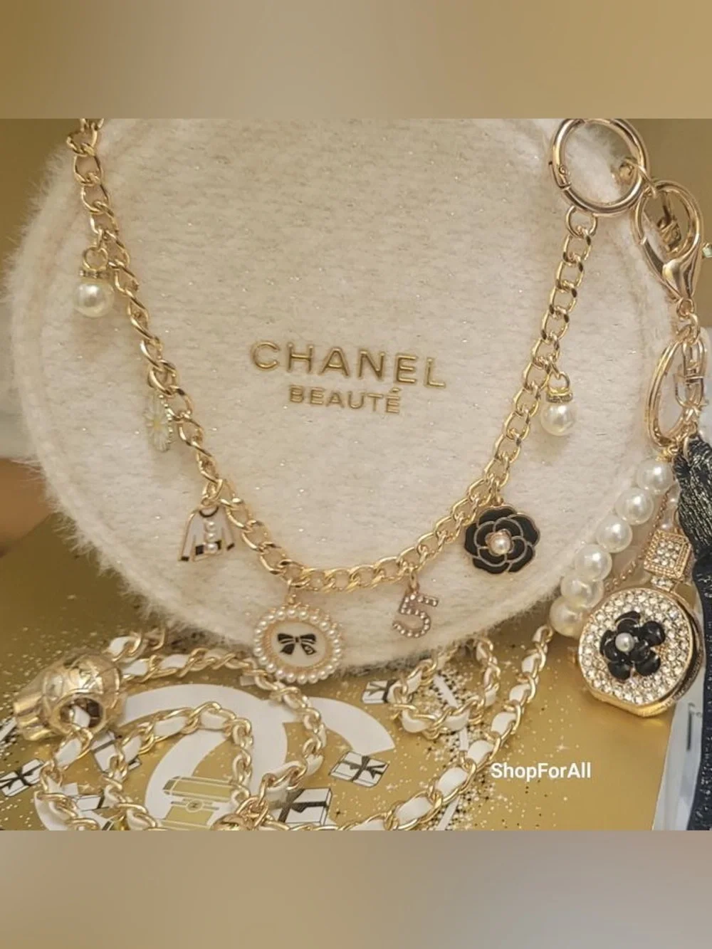 Chanel cosmetic bag pouch